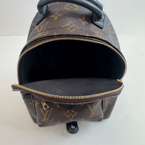Louis Vuitton Palm Springs Mini Backpack in Monogram - Picture 6 of 16